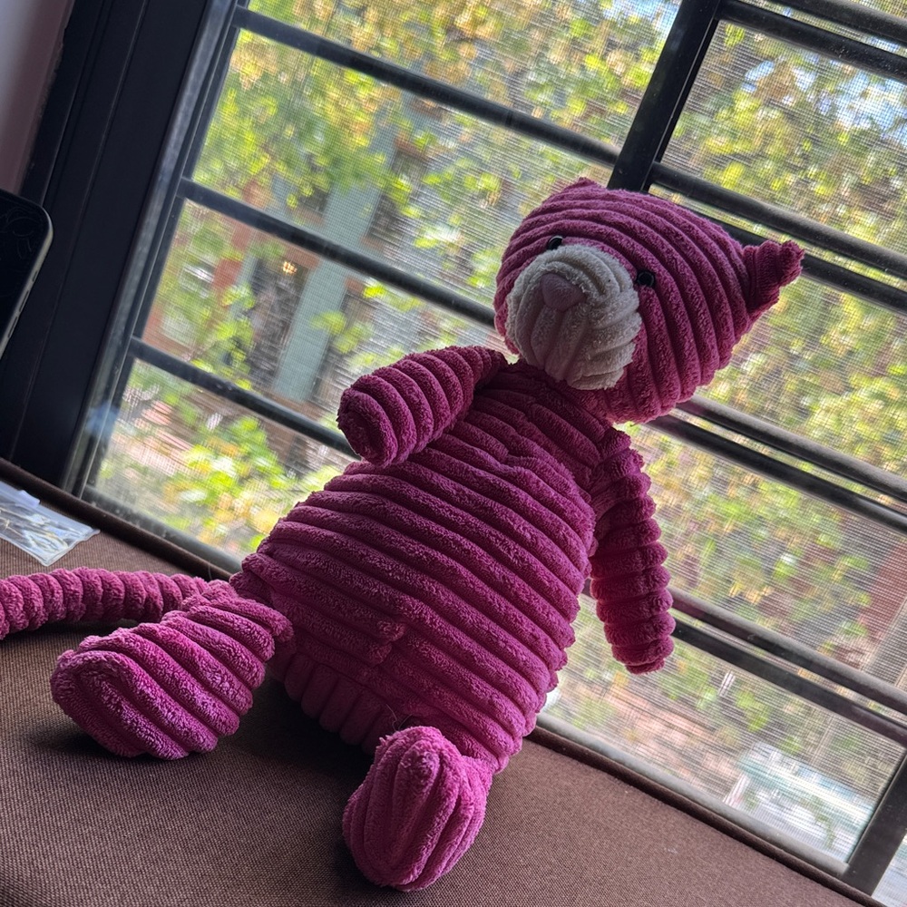 Corduroy Pink cat